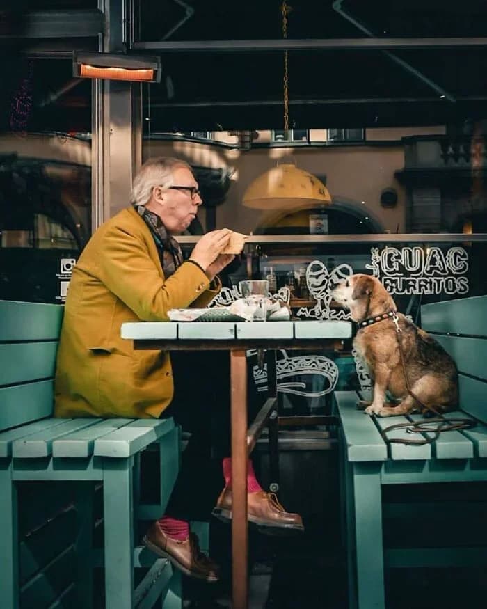 Original photo of Elderly Man Dining with Dog