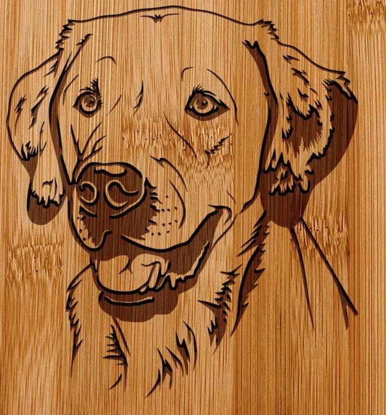 Maker's finished product: Labrador Retriever Portrait