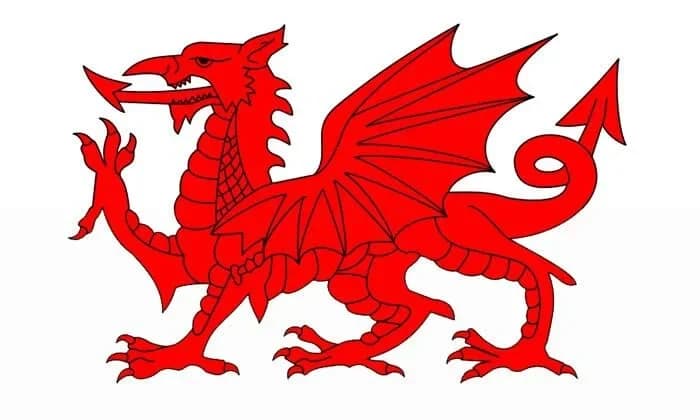 Original photo of Welsh Dragon Heraldic Symbol